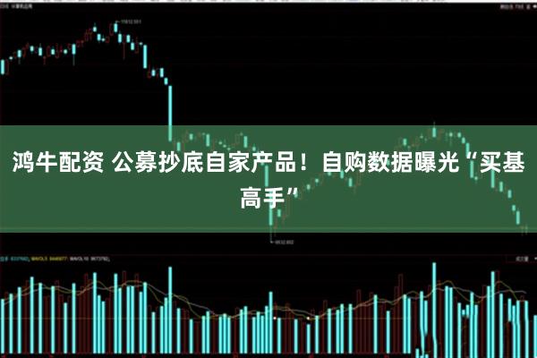 鸿牛配资 公募抄底自家产品！自购数据曝光“买基高手”