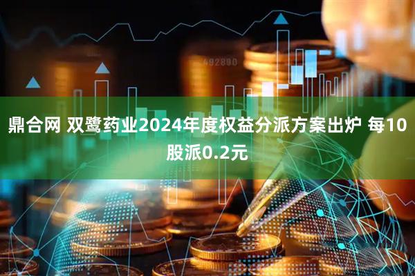 鼎合网 双鹭药业2024年度权益分派方案出炉 每10股派0.2元