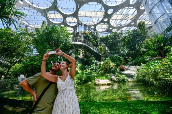 星星配资 加快推进绿色低碳创新成果转化示范应用！上海发布42项先进技术、9项示范工程